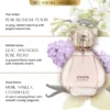 VEAVEAN – Dudu Bear Shy Perfume (Pink) 30ml