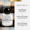 MoRafael - Rose of No Man’s Land Rose 30ml MoRafael - Rose of No Man’s Land Rose 30ml