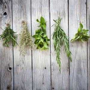AROMATICS