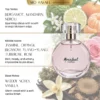MoRafael - Ambiguous Perfume 50ml
